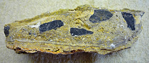 Click f&uuml;r gr&ouml;&szlig;eres Bild